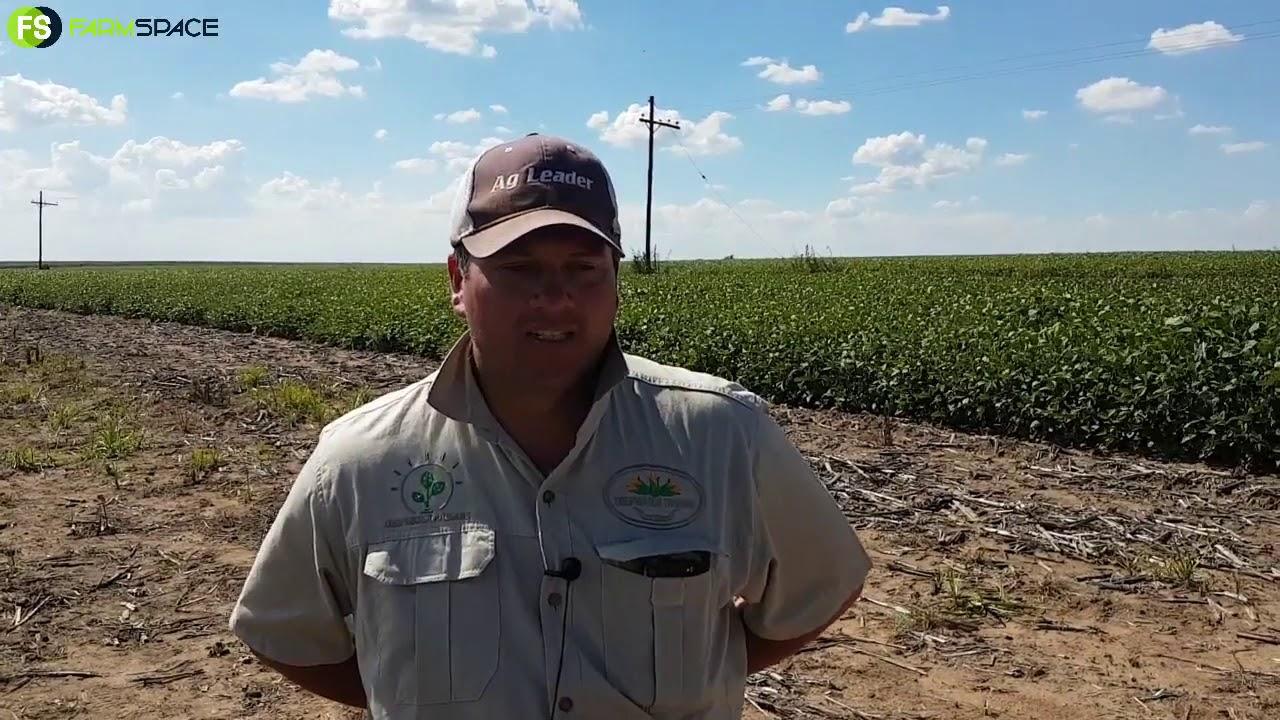 Modderbult Sojadag 2021 - Danie Bester