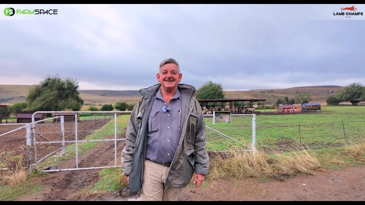 Carlos boer met Vleis Merinos, dorpers, en dormers.