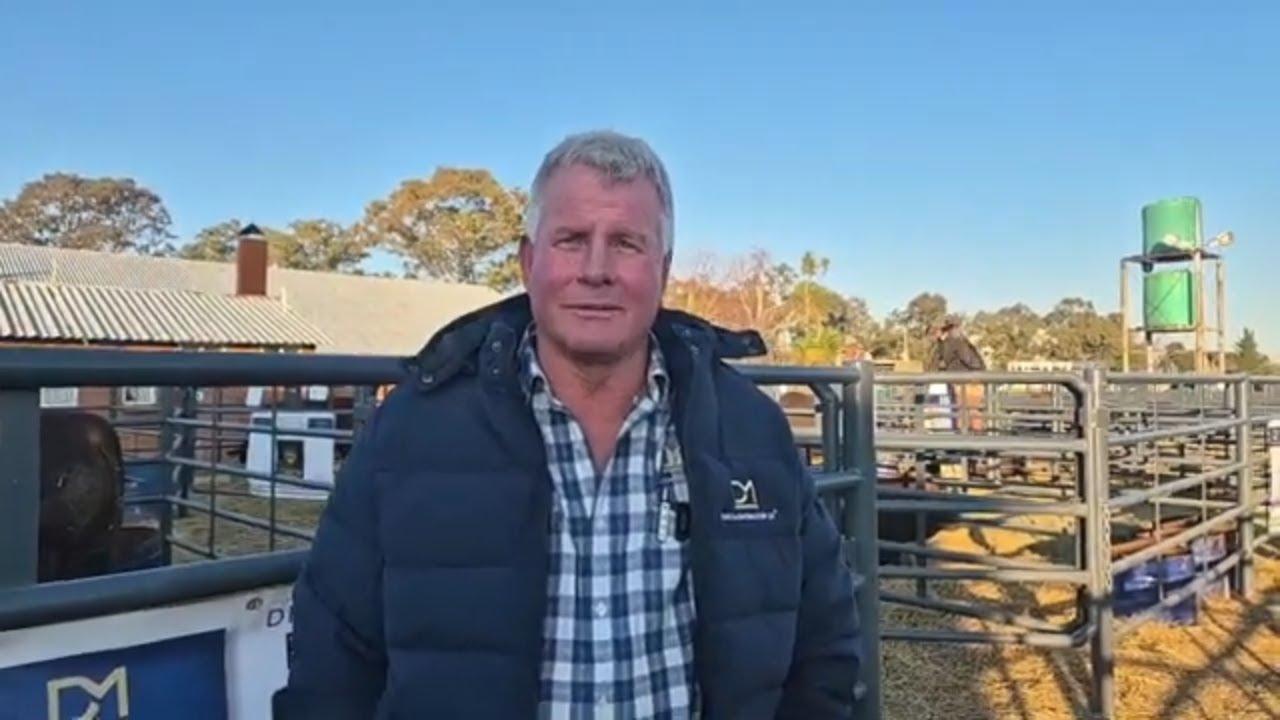 Droughtmaster SA se Marius Barkhuizen gesels oor die Eastern Droughtmaster Club Sale se aanbieding.