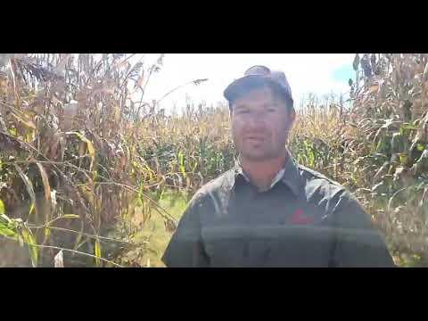 Wonder jy oor Sorghum? Christopher vertel my meer by Agricol se Boeredag