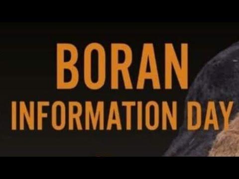 Boran cattle society information day