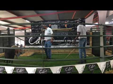 LIVE vanaf die Fire and Wine Arena by die Transveld Meatmaster Club se Flagship Veiling