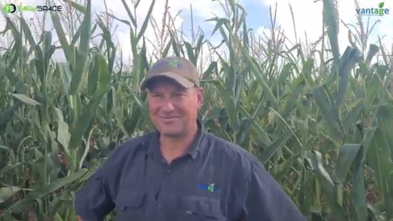 Trimble en CNH se padjies skei. Hoe maak jy nou? Jaco van Vantage SSA verduidelik.
