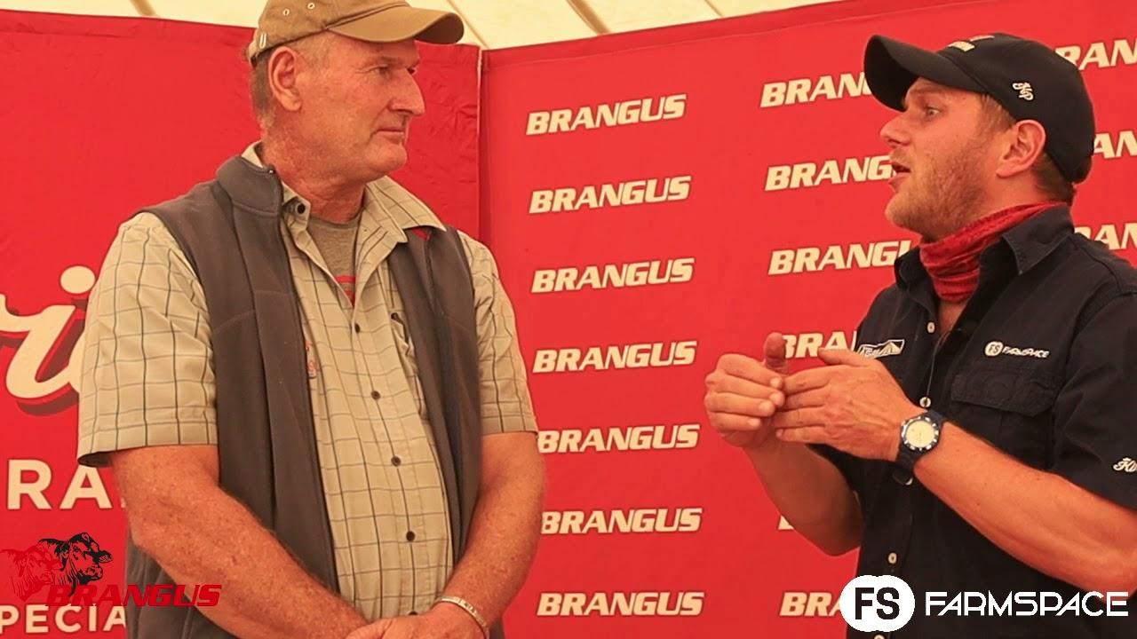 Gesels met Morne van die Le Roc Brangus opperste kampioen vroulik.
