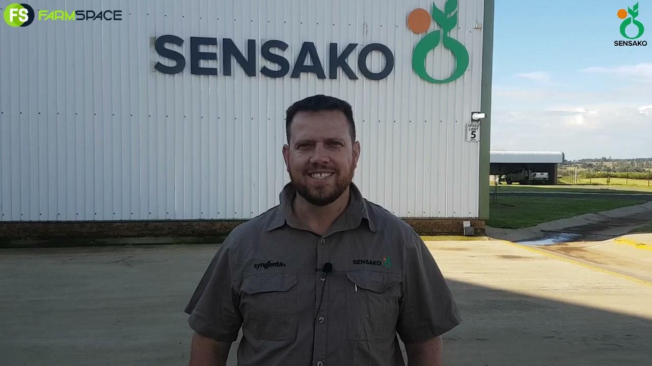 Sensako en Syngenta Uitkoop asook koring- en hawersaad