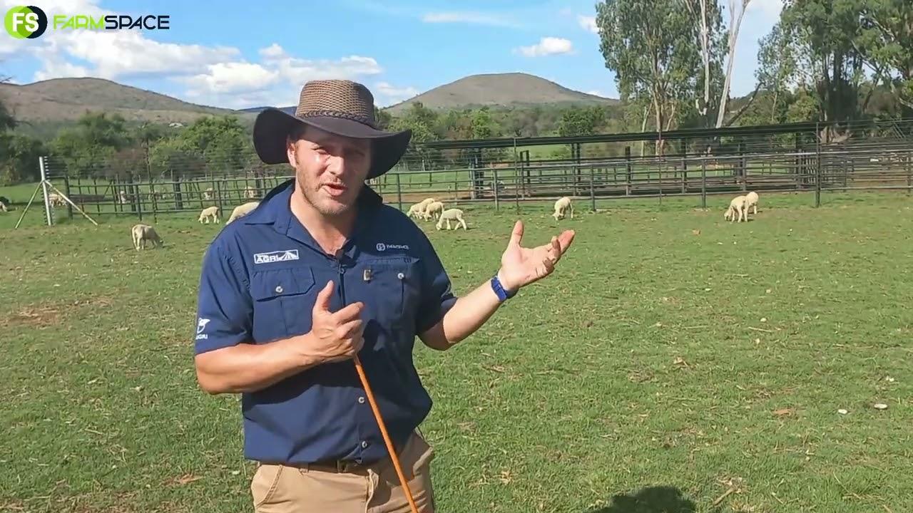 What is the best way to set up your camps and fences for animal management?