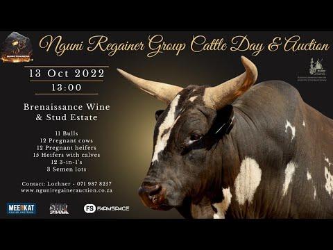 Regainer Nguni Veiling