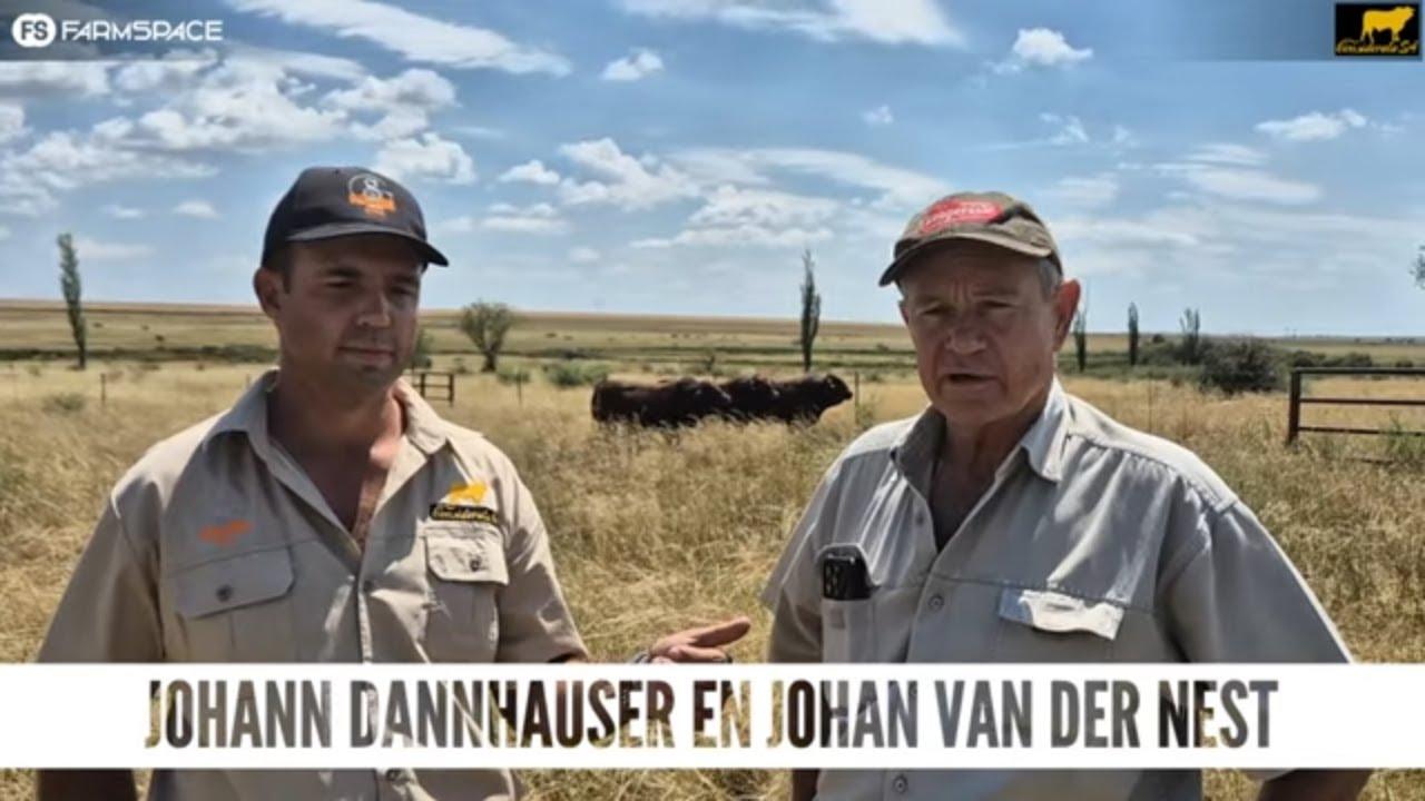Ons gesels met Johan Dannhauser en Johan van der Nest oor die Considerata SA Veiling