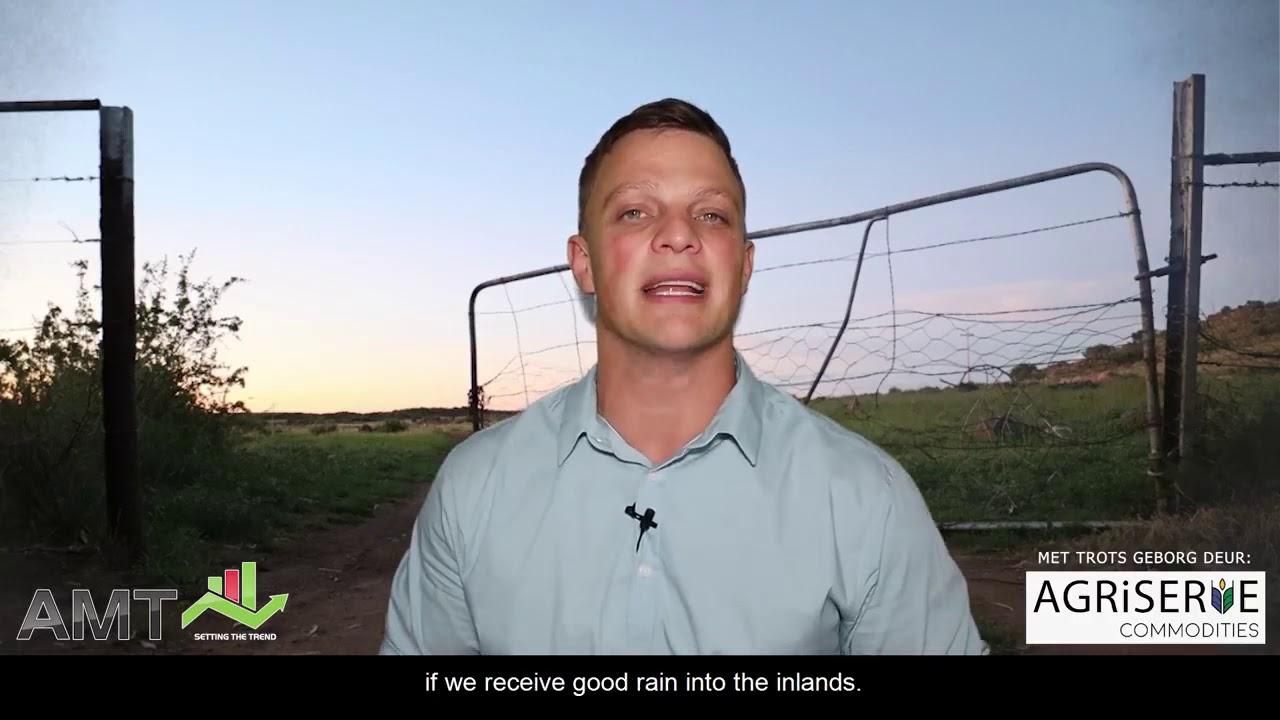 AMT - The rain could help give some support to the meat prices