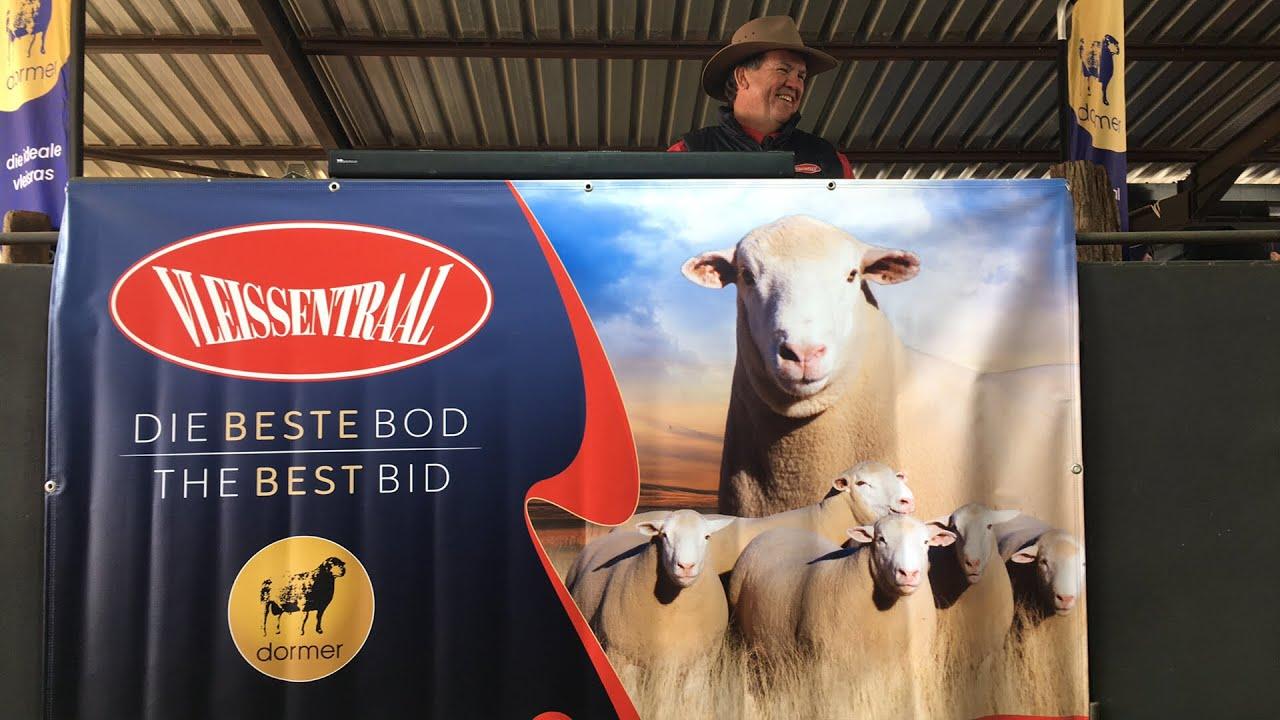 Dormer National Auction 2022