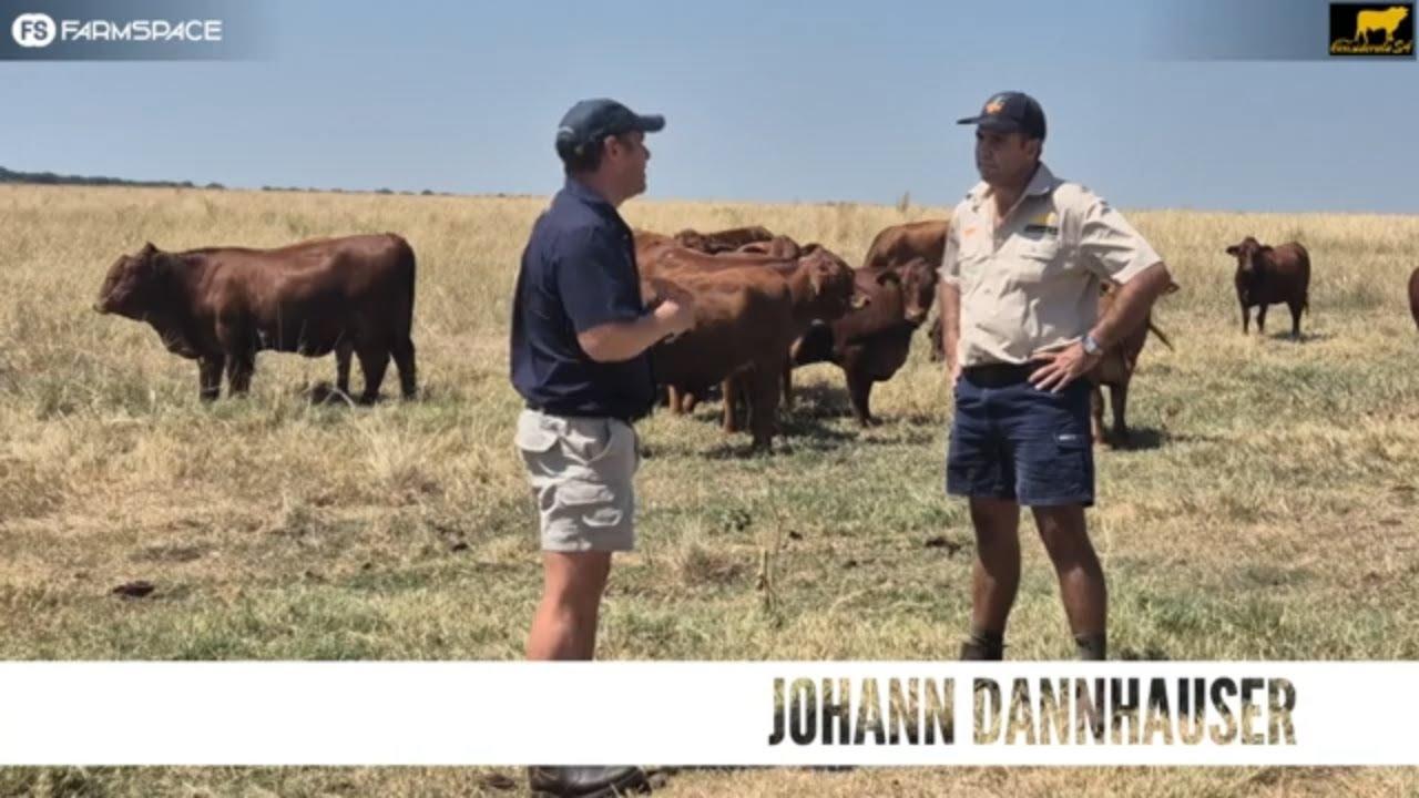 Ons gesels by Considerata SA oor hulle planne vir die toekoms en die veiling wat voorlê.