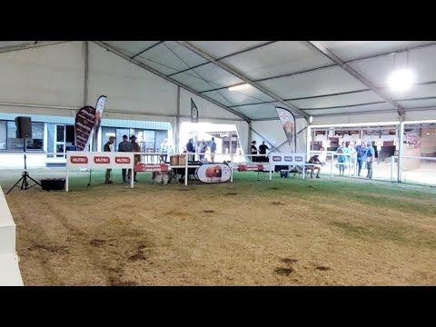 Limousin Show Bloemfontein 2023