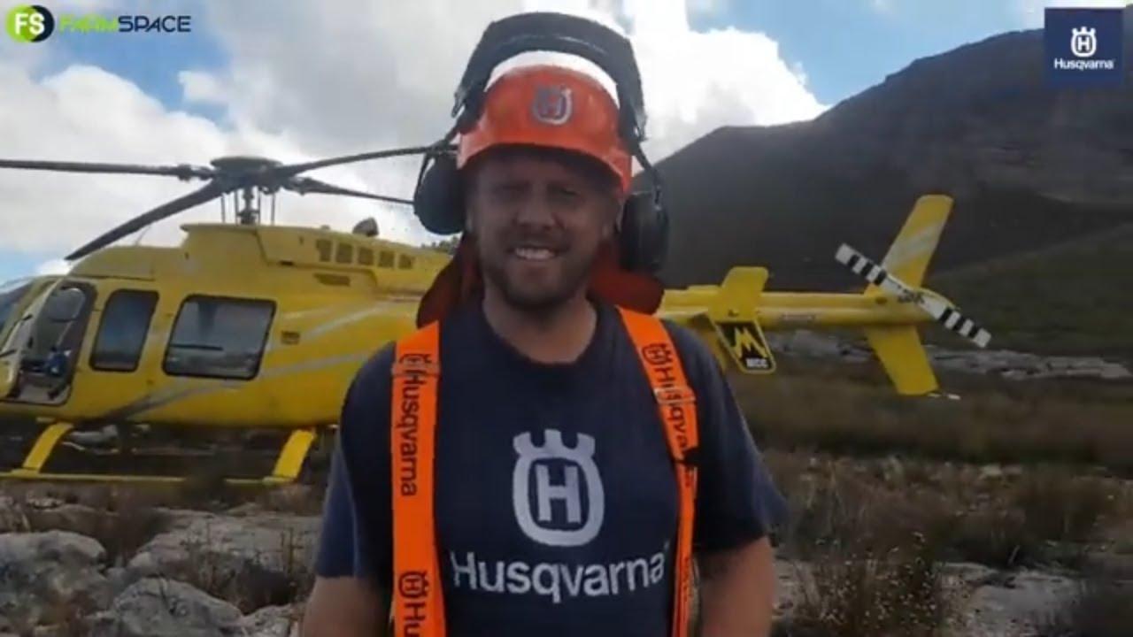 Helihack with Husqvarna. These pines need to go!!