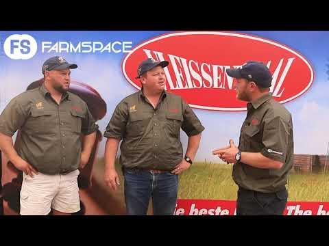 Ons gesels met die broers van 2 Broers Dormer Stoet wat die R350 000 ram verkoop het