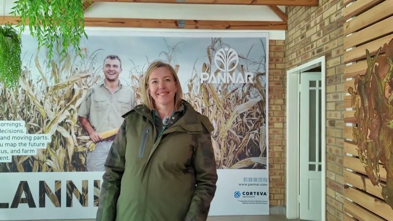 Pannar vertel wat dit waarlik beteken om klient gefokus te wees in die landbou bedryf op Nampo 2026.