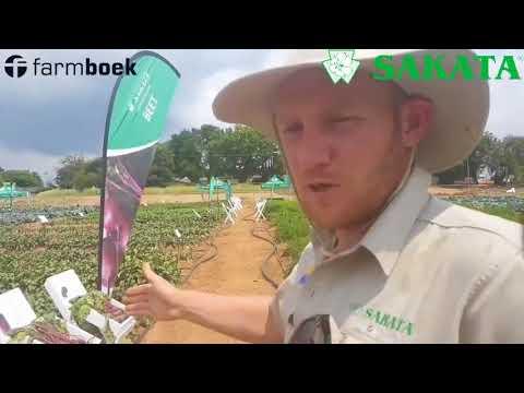 Sakata Farmers Day 2018 - Carrots and Beetroot Part 2