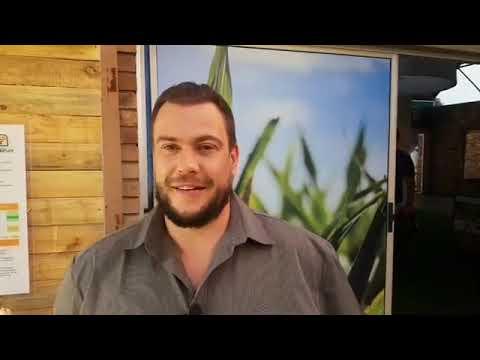 Pioneer Seed - Frederick speaks to us about the maize this year.