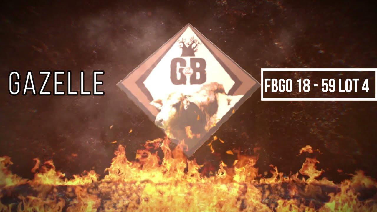 Gerben Borane Presents Gazelle FBGO 18-59 Lot at the 2021 Boran National Auction