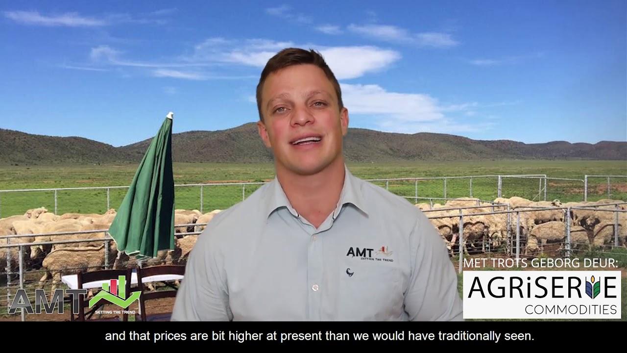 AMT - Maize and Soy prices are still going down