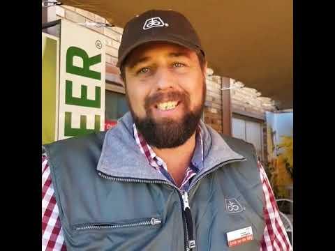 Pioneer Soja Bone