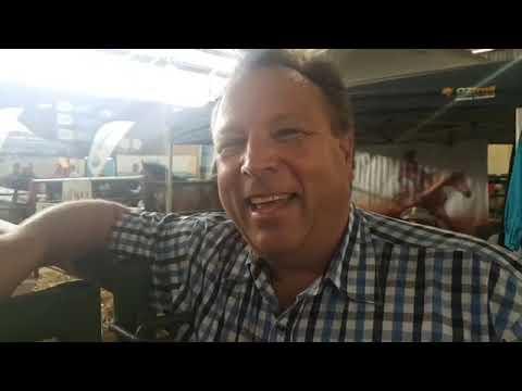 Percheron Horses at ALFA Expo 2018