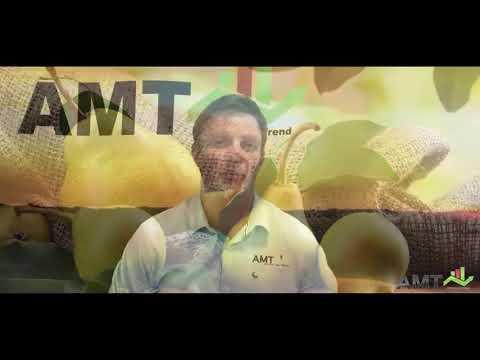 AMT Fresh Produce Outlook - 30 Jan 2019