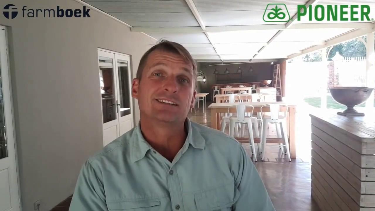 Pioneer Soy Cultivars. Why do they work?
