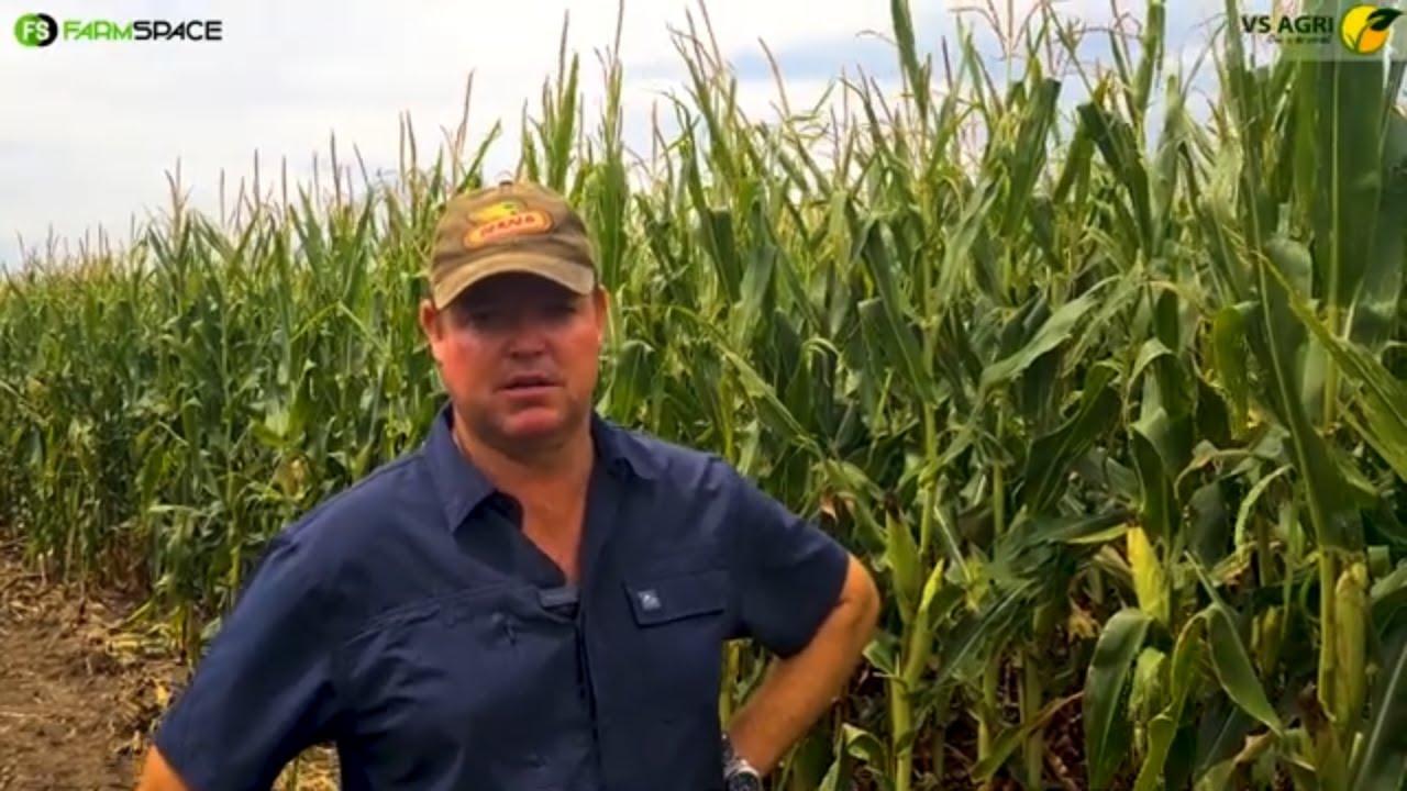Cronje Boerdery Proewe dag 2024 saam met VS Agri. Hoe sien Christo Cronje dinge?