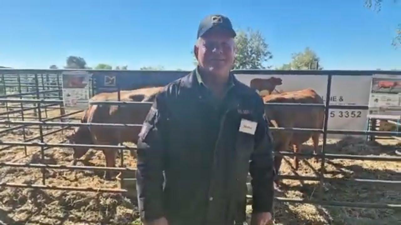 Ons gesels Marius Barkhuizen voor die Waterford, Chan-te-Mar, Werda en Palmyra Stoetboerdery Veiling