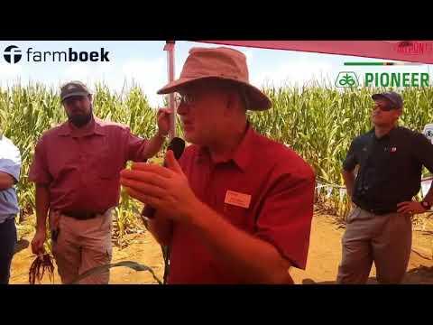 Video 8 in ons DuPont Pioneer South Africa Mielie-reeks. Bob Nielsen. Broadcast vs Pre-Plant
