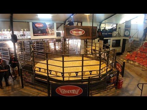 Limpopo Prestige Boran Auction