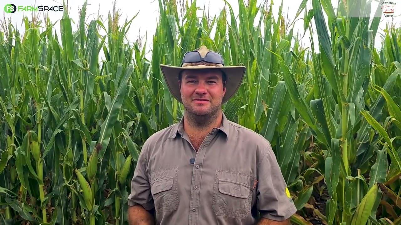 Hoe kan Saamstaan Voere vir jou waarde toevoeg? Rudo vertel meer.