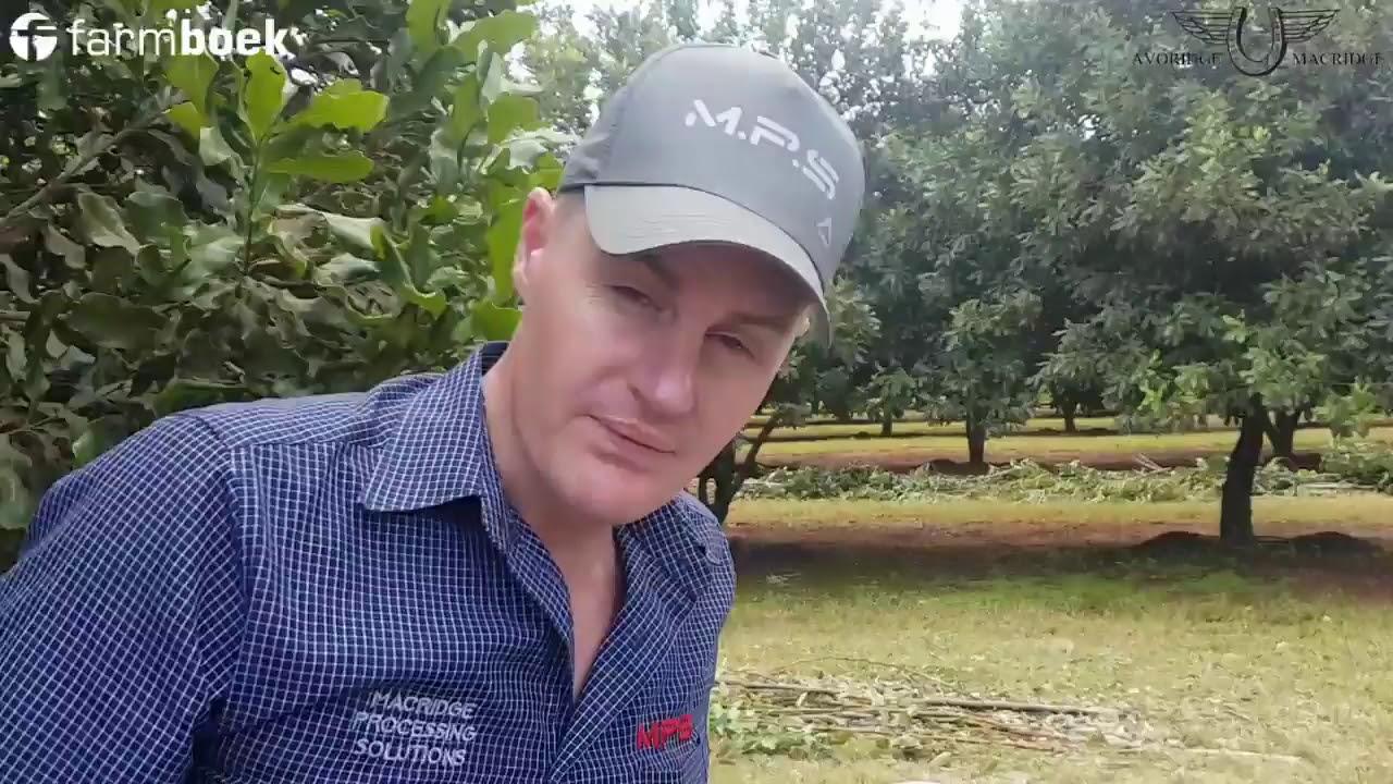 Macridge Processing Solutions - Macadamia Opteller
