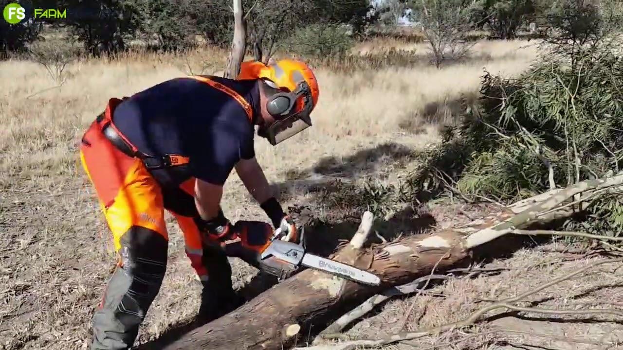 Husqvarna - Hoe om 'n boom se sytakke af te sny? "Delimbing"