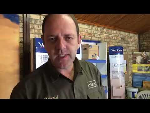 Win a Hilux with Virbac