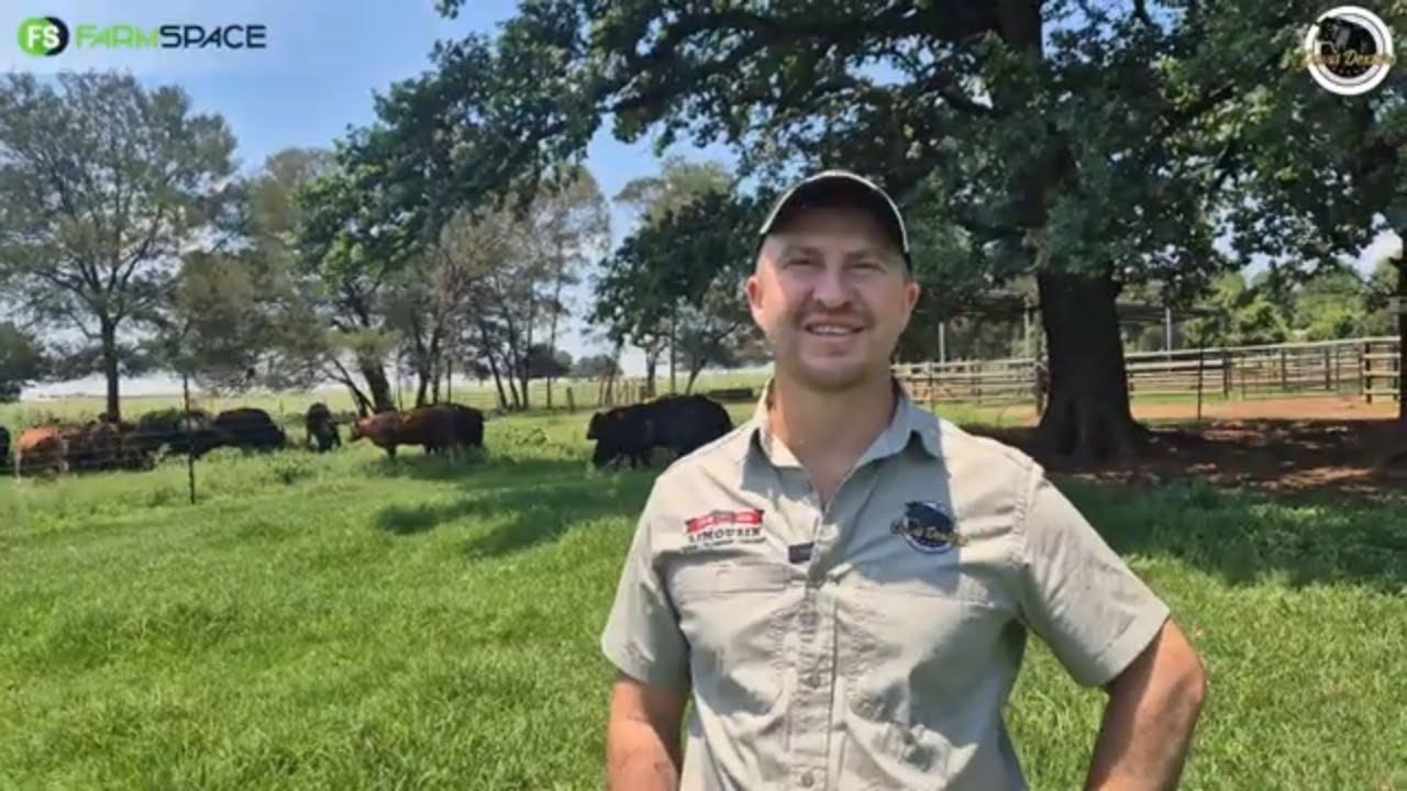 Wat kan jy verwag van die Davis Dexters Genetic Auction - 14 Februarie 2026 by Fire & Wine Pretoria?