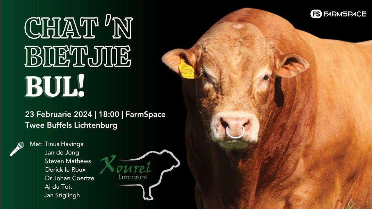 Chat 'n bietjie Bull by die Xourel Limousin Auction