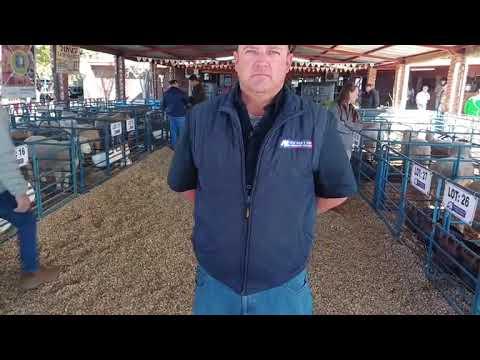 Ons is vandag by die 20ste Molopo Ile de France veiling met buite Vryburg.