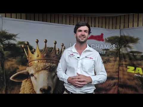 Hoe voel JP oor die finaal van Lamb Champs op Nampo Alfa 2025?