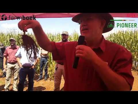 Bob Nielsen 5 - Root development with young plants