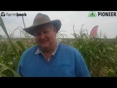 Hannes at Excelsior Farmers Day