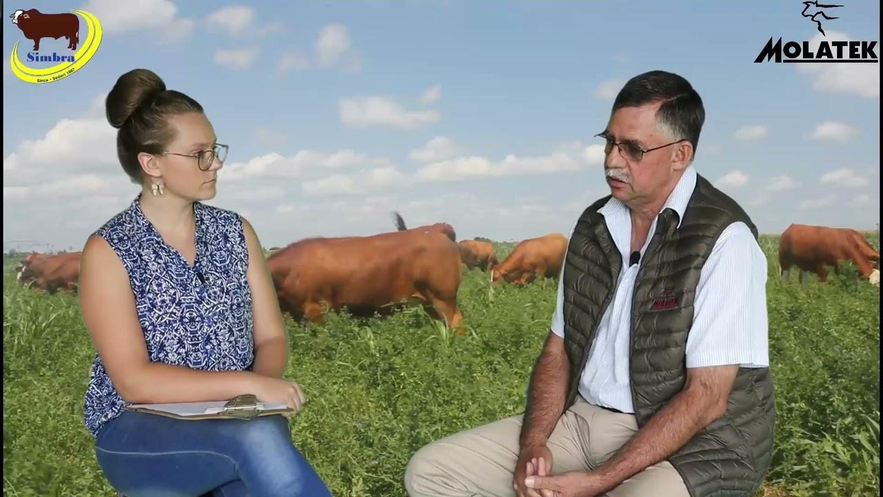 Simbra Saterdae - Deel 5 - Stoetbul Bestuur
