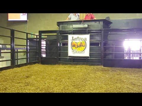 Jabea Borane 3rd Production Auction