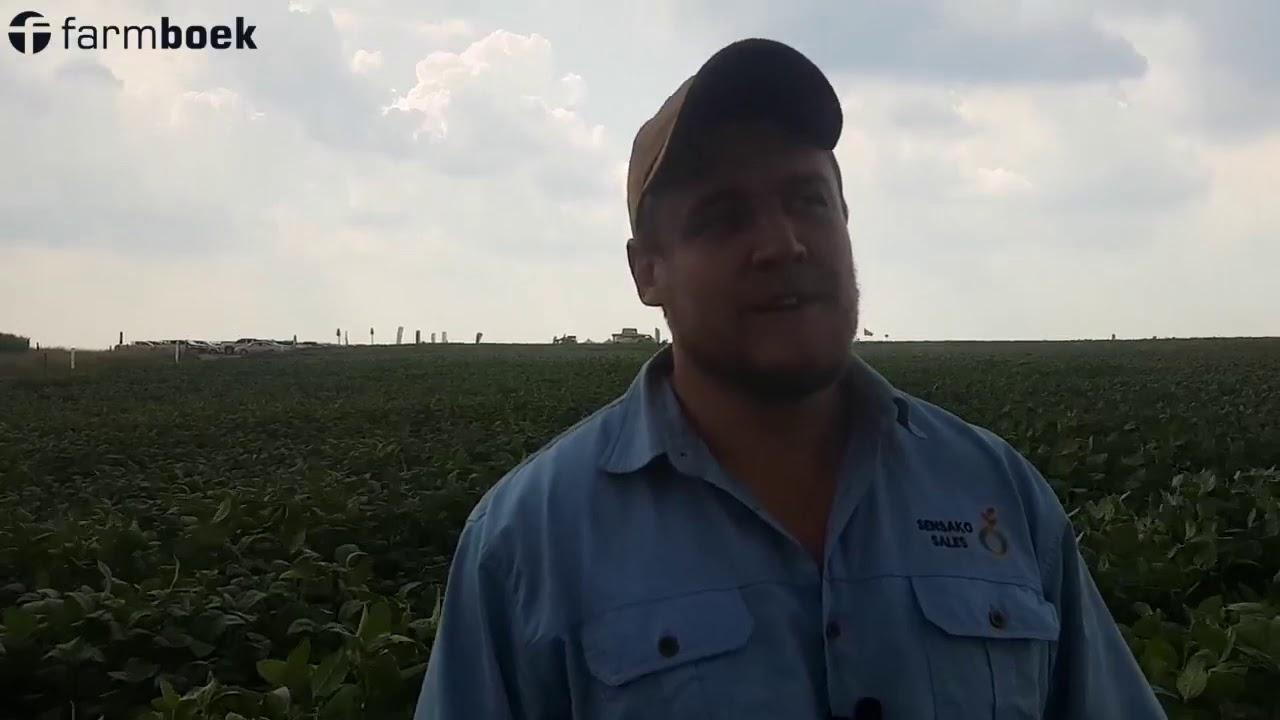 Chrissiesmeer Farmers Day 2020 - Sensako SSS 5052 Soybeans