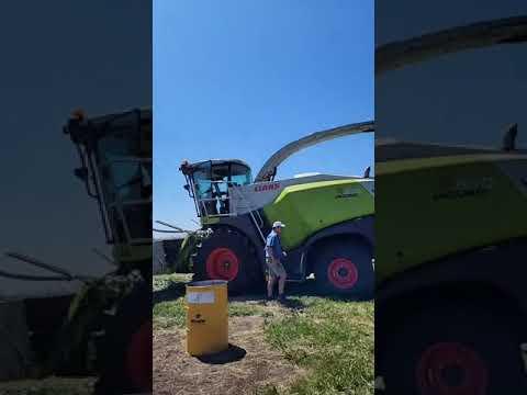 Regstreeks vanaf Witwildt boeredag.