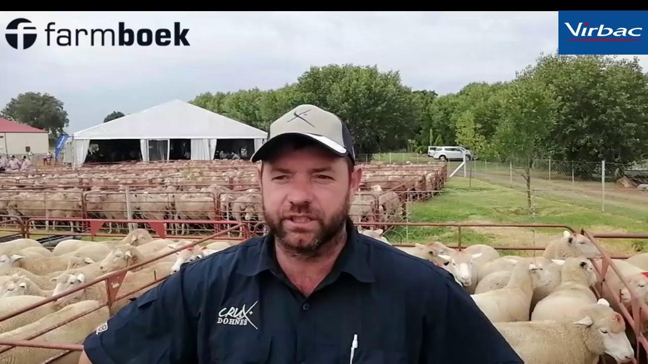 Sirkie Pieterse at the Crux Dohnes auction 2020