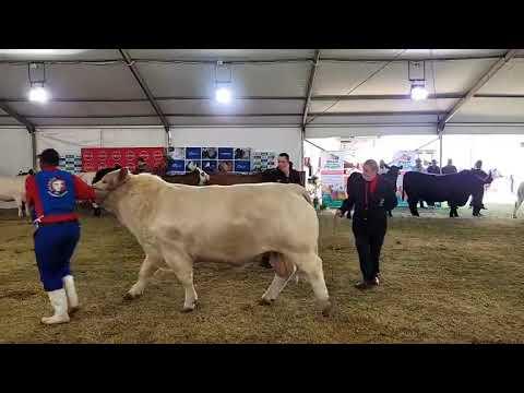 Bloem Show 2023 - Interras beoordeeling