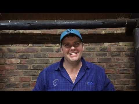 Ons gesels met AJ Du Toit op die vooraand van die Xourel veiling