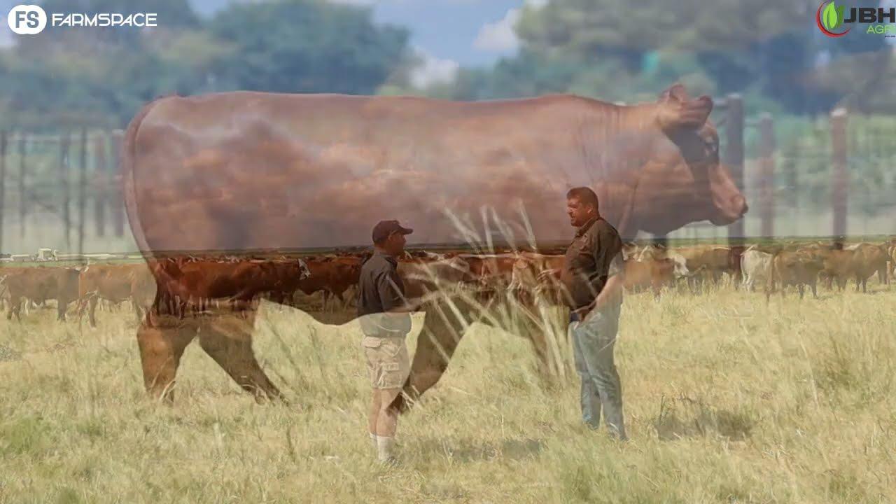 In die onderhoud met Rocco delf ons bietjie dieper en gesels oor daai fynpunte wat saak maak.