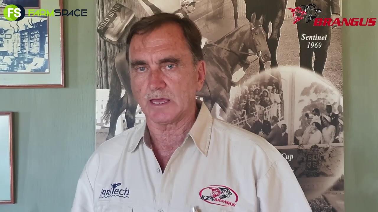 Henning Pretorius van Summerhill Stud oor sy besluit om Bangus deel van sy plaas te maak.
